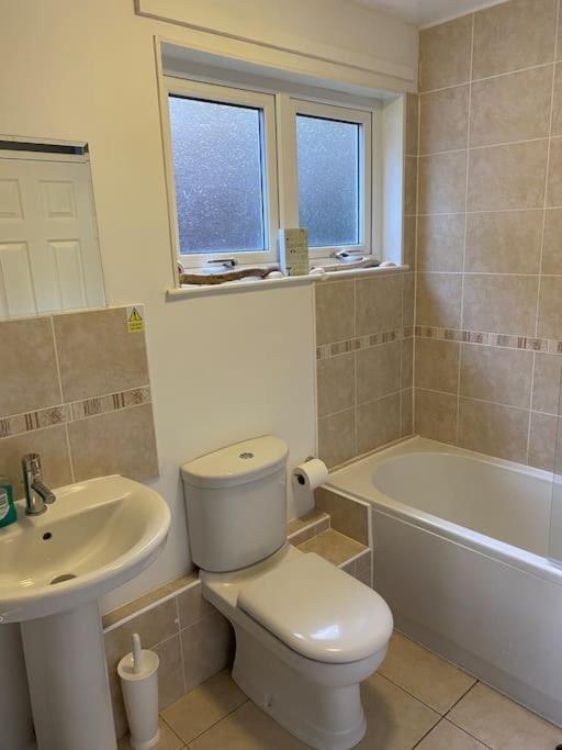 3 Bedroom Lodge With Hot Tub On Lovely Quiet Holiday Park In Cornwall Gunnislake Bagian luar foto